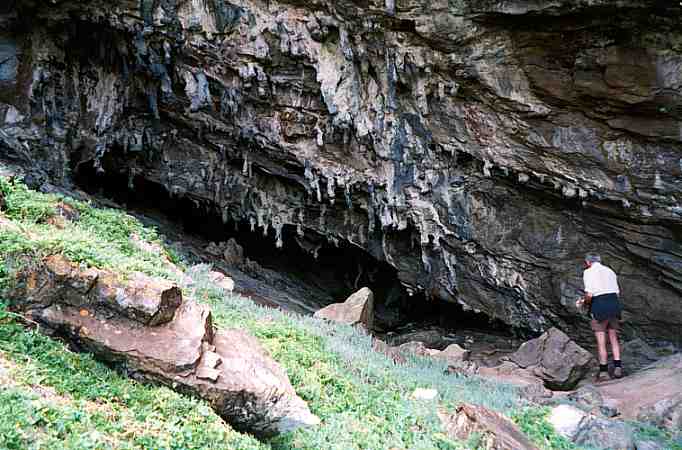 De Hoop east